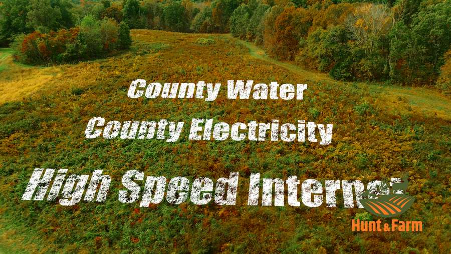 Still 2025-11-29 081237_1.66.1.jpg